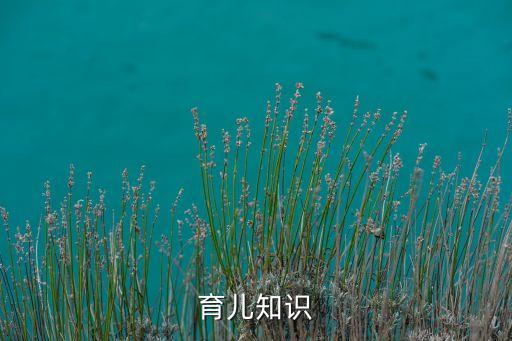 育儿知识