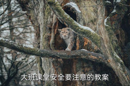 大班课堂安全要注意的教案