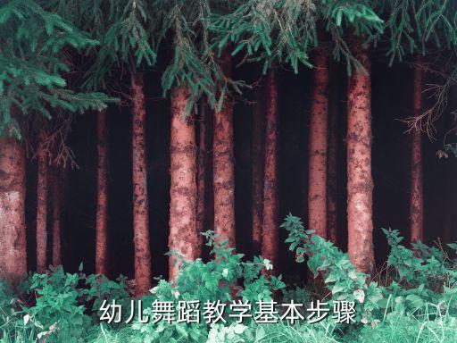 幼儿舞蹈教学基本步骤