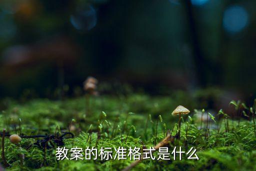 教案的标准格式是什么