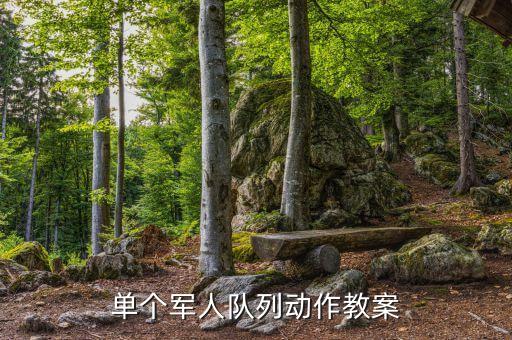 单个军人队列动作教案