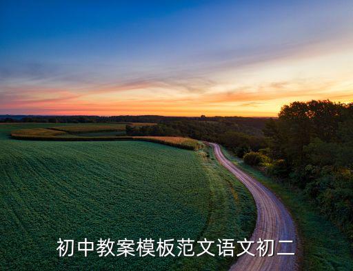 初中教案模板范文语文初二