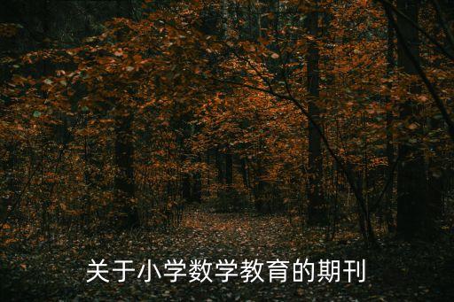 关于小学数学教育的期刊
