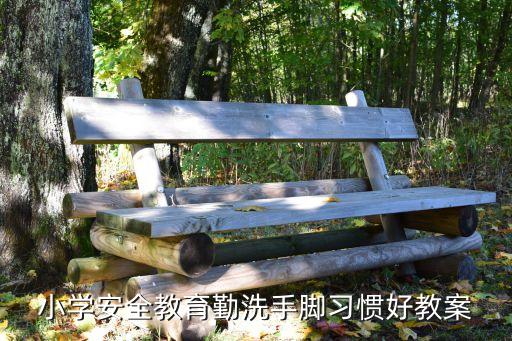 小学生各项安全教育教案，小学一年级安全教案雷雨天