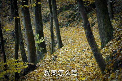 正规的教案格式怎么写，教案怎么写