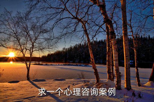 心理疏导案例，心理辅导案例