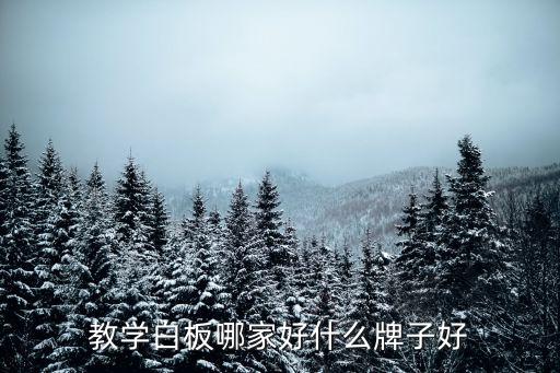 教学白板，教学白板哪家好什么牌子好