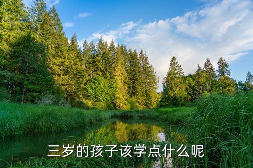 三岁的孩子该学点什么呢