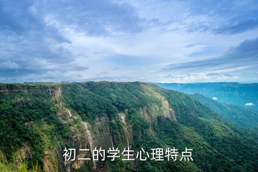 初二的学生心理特点