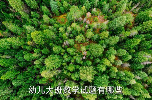 幼儿大班数学试题有哪些