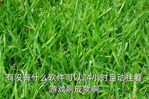 有没有什么软件可以24小时自动挂着游戏刷成就啊