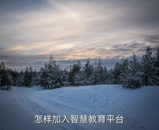 怎样加入智慧教育平台