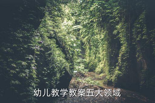 五大领域教案编写框架，幼儿教学教案五大领域