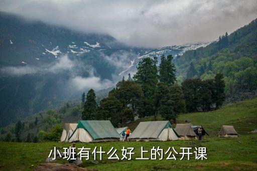 小班有什么好上的公开课