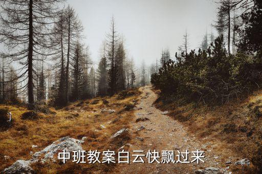 中班教案白云快飘过来
