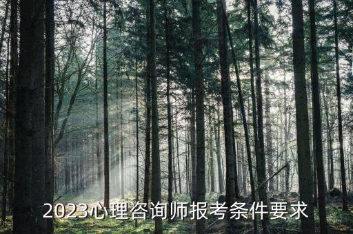 2023心理咨询师报名条件，2023心理咨询师报考条件要求