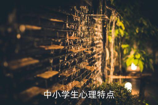 中小学生心理特点