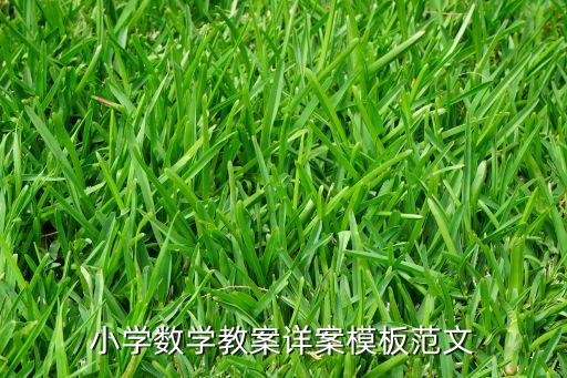 小学数学教案详案模板范文