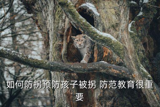 如何防拐预防孩子被拐 防范教育很重要