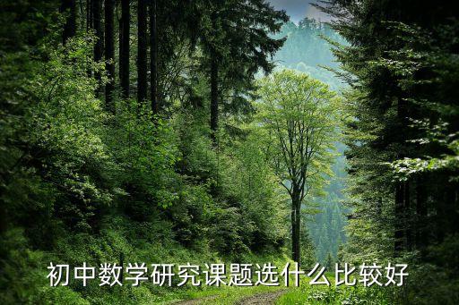 初中数学研究课题选什么比较好