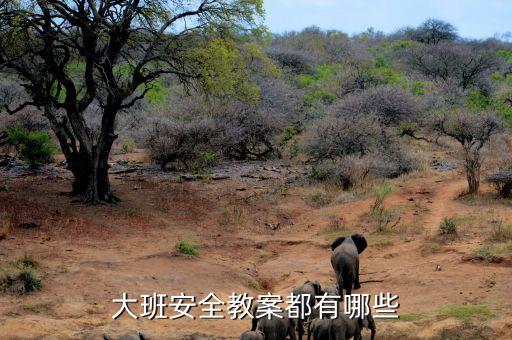 大班安全教案都有哪些