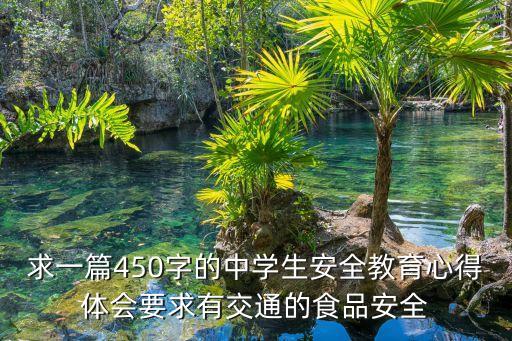 求一篇450字的中学生安全教育心得体会要求有交通的食品安全
