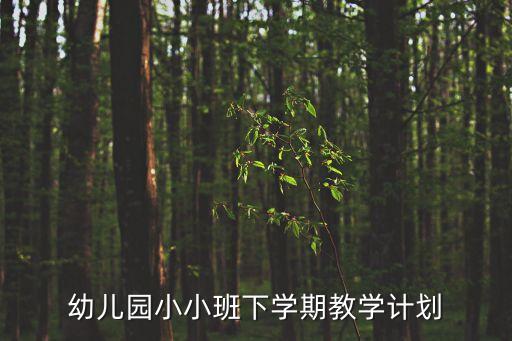 幼儿园小小班下学期教学计划