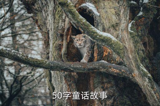 50字童话故事