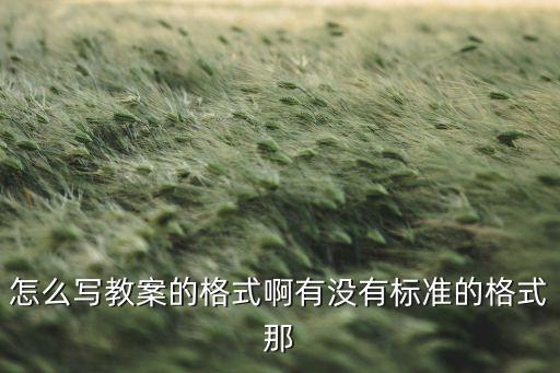 怎么写教案的格式啊有没有标准的格式那