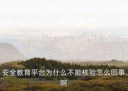安全教育平台核验不了怎么办，安全教育平台显示未核验的时候没有核验现在打开没有了咋办