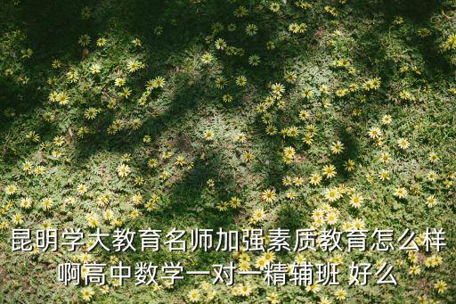 昆明学大教育名师加强素质教育怎么样啊高中数学一对一精辅班 好么
