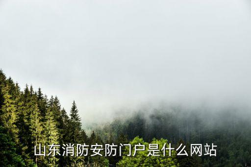 山东消防安防门户是什么网站