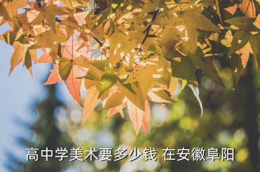 高中学美术要多少钱 在安徽阜阳