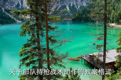 关于部队持枪战术动作的教案格式