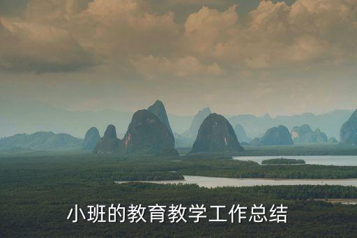 小班的教育教学工作总结