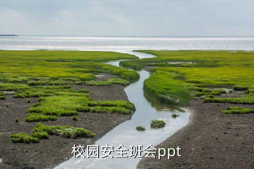 中小学生安全教育ppt，小学安全教育课件