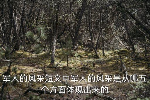 军人的风采短文中军人的风采是从哪五个方面体现出来的