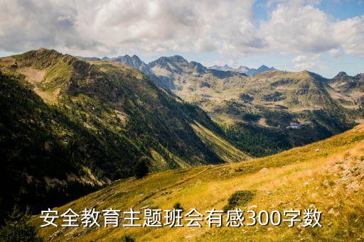 安全教育主题班会有感300字数