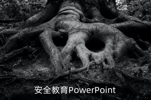 安全教育PowerPoint