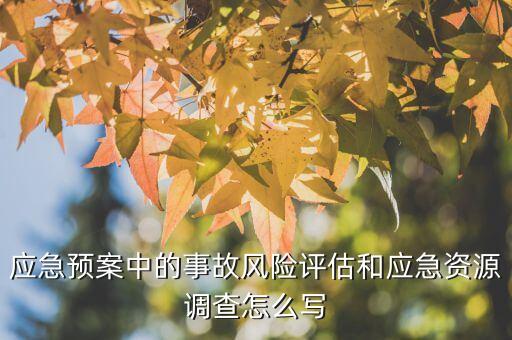 应急预案中的事故风险评估和应急资源调查怎么写