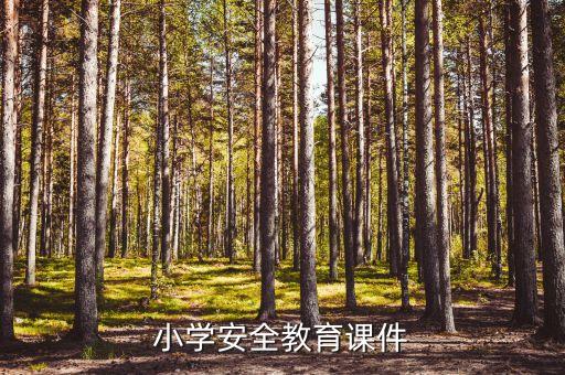 小学安全教育第一课ppt课件，小学安全教育课件
