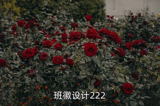 班徽设计图案大全，班徽设计222