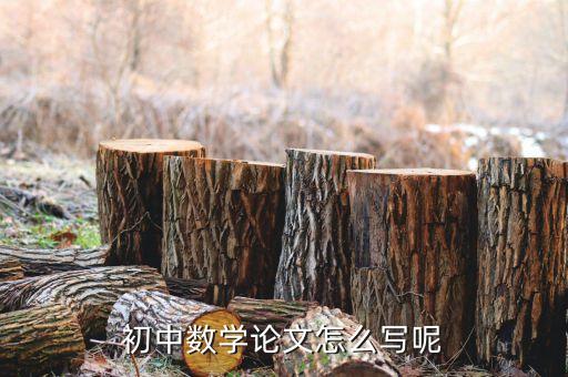 初中数学论文怎么写呢