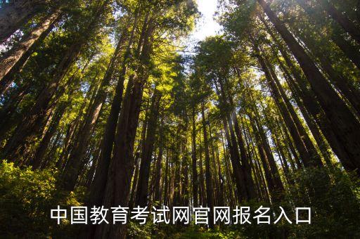 中国教育考试网官网报名入口