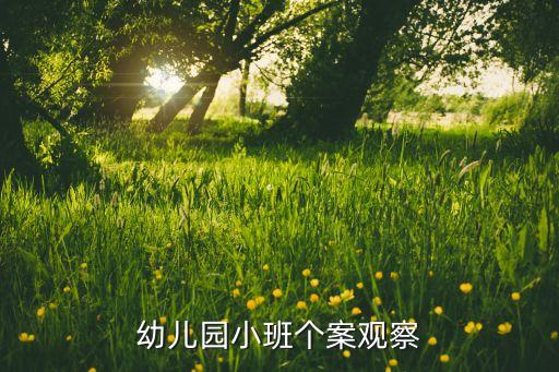 幼儿园小班个案观察