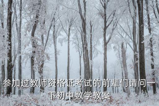 参加过教师资格证考试的前辈们请问一下初中数学教案