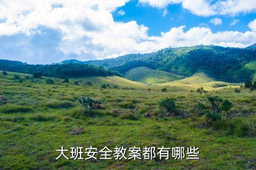 大班安全教案都有哪些