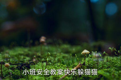 小班安全教案快乐躲猫猫