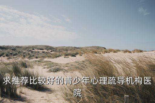 求推荐比较好的青少年心理疏导机构医院