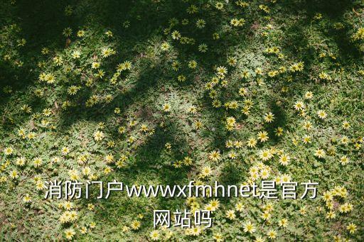 消防门户wwwxfmhnet是官方网站吗